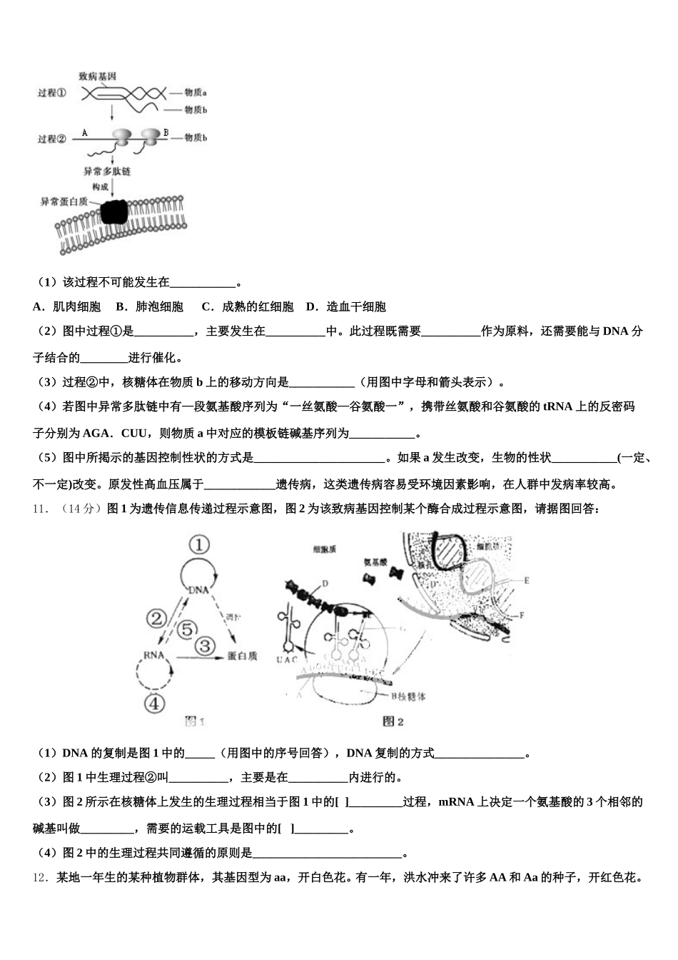 内蒙古阿拉善左旗高级中学2025届高一下生物期末联考试题含解析_第3页