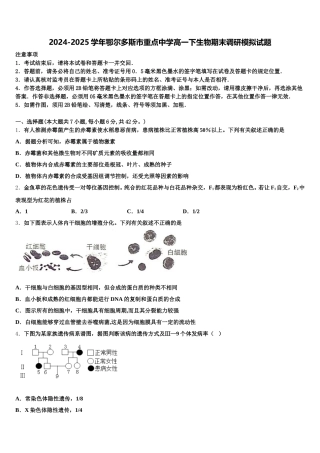 2024-2025学年鄂尔多斯市重点中学高一下生物期末调研模拟试题含解析