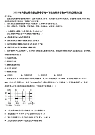 2025年内蒙古锦山蒙古族中学高一下生物期末学业水平测试模拟试题含解析