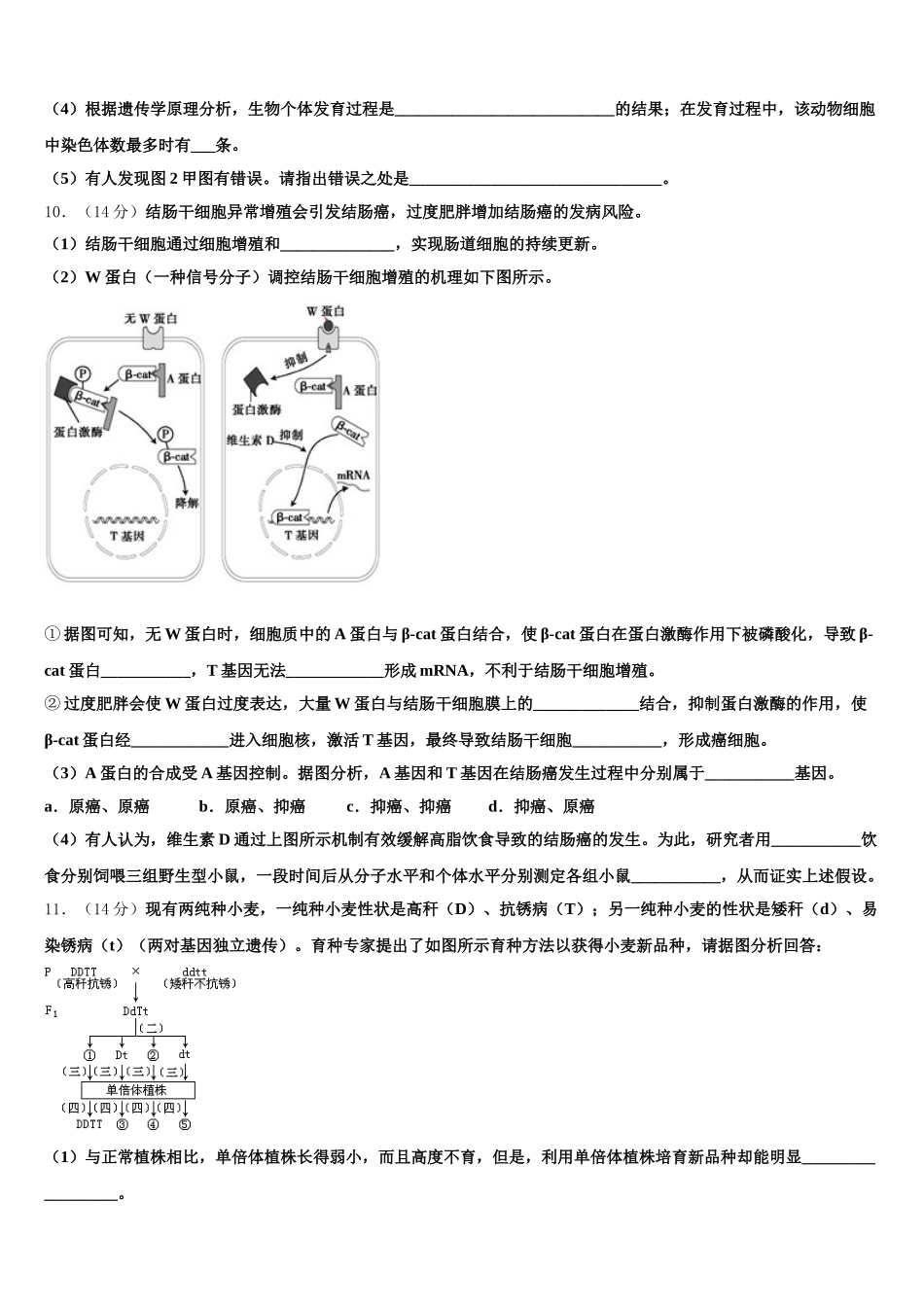 2025年内蒙古第一机械制造有限公司第一中学生物高一下期末统考试题含解析_第3页