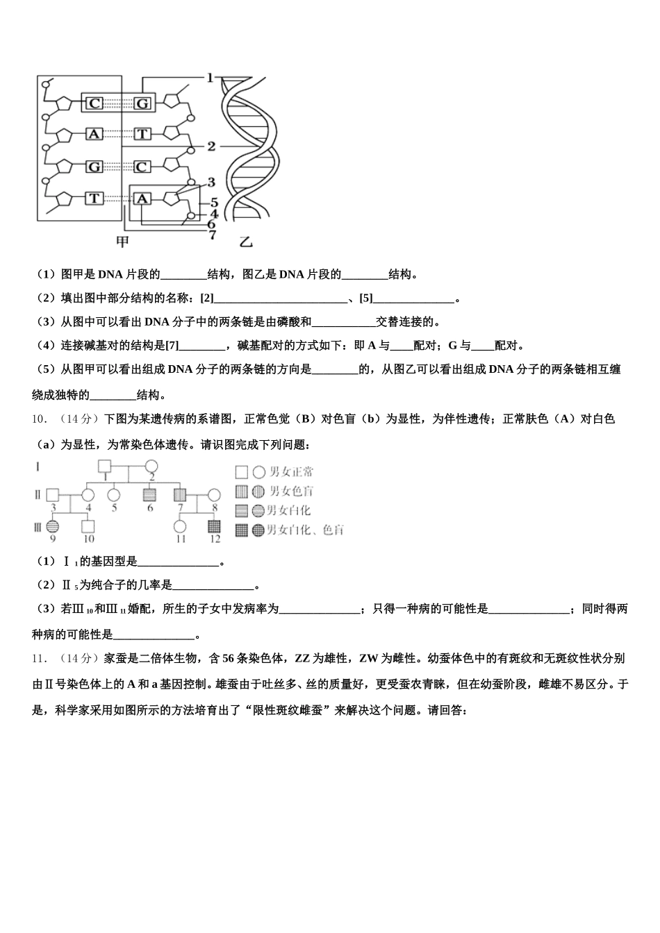 内蒙自治区乌兰察布市集宁二中2024-2025学年生物高一下期末质量跟踪监视模拟试题含解析_第3页