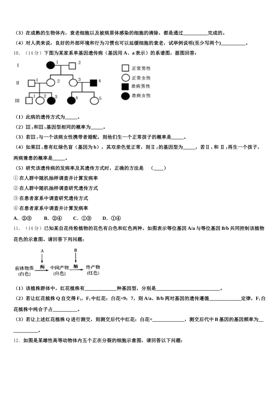 2024-2025学年内蒙古鄂尔多斯西部四旗高一生物第二学期期末学业质量监测模拟试题含解析_第3页