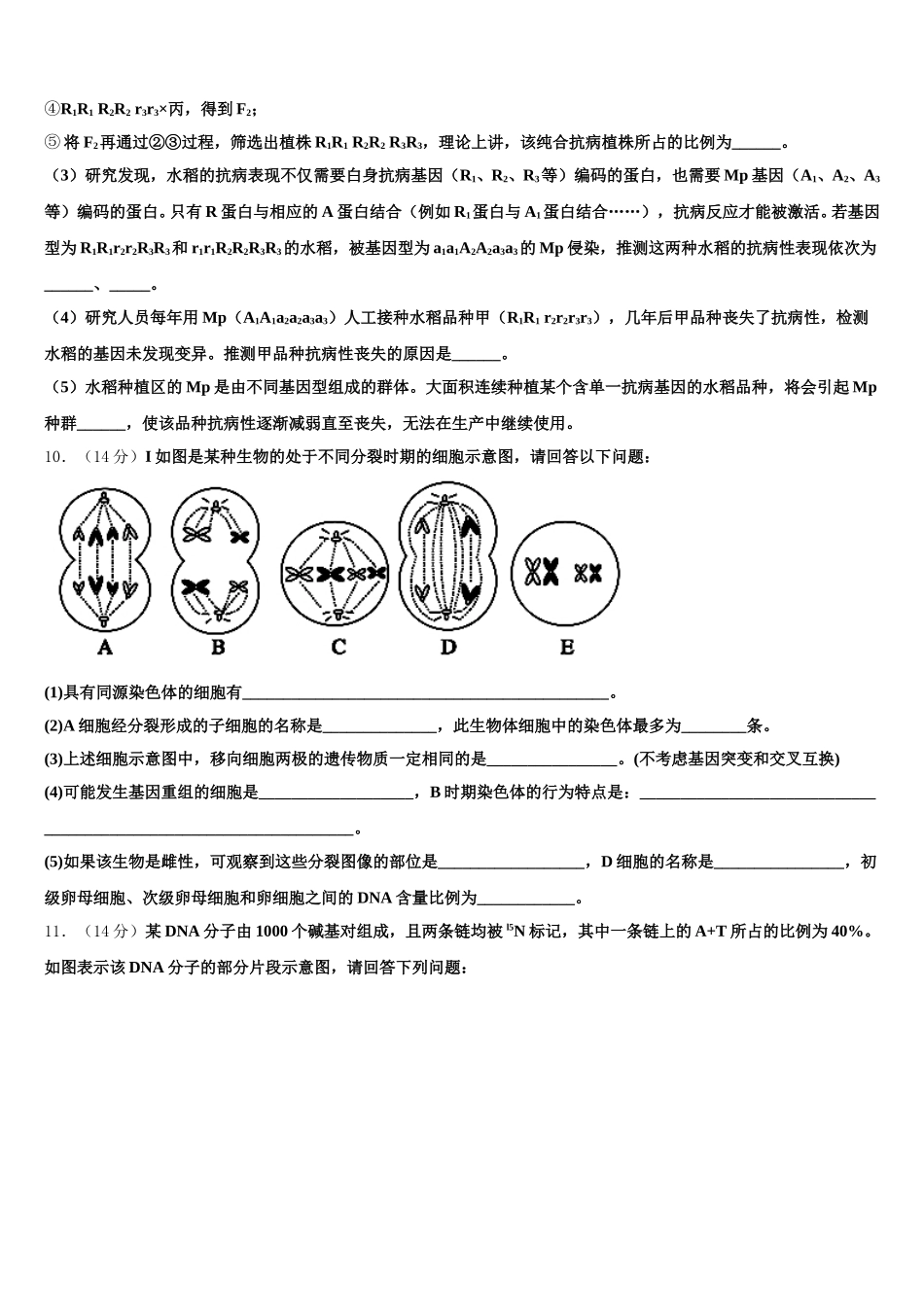 内蒙古集宁一中2025届高一生物第二学期期末学业水平测试模拟试题含解析_第3页