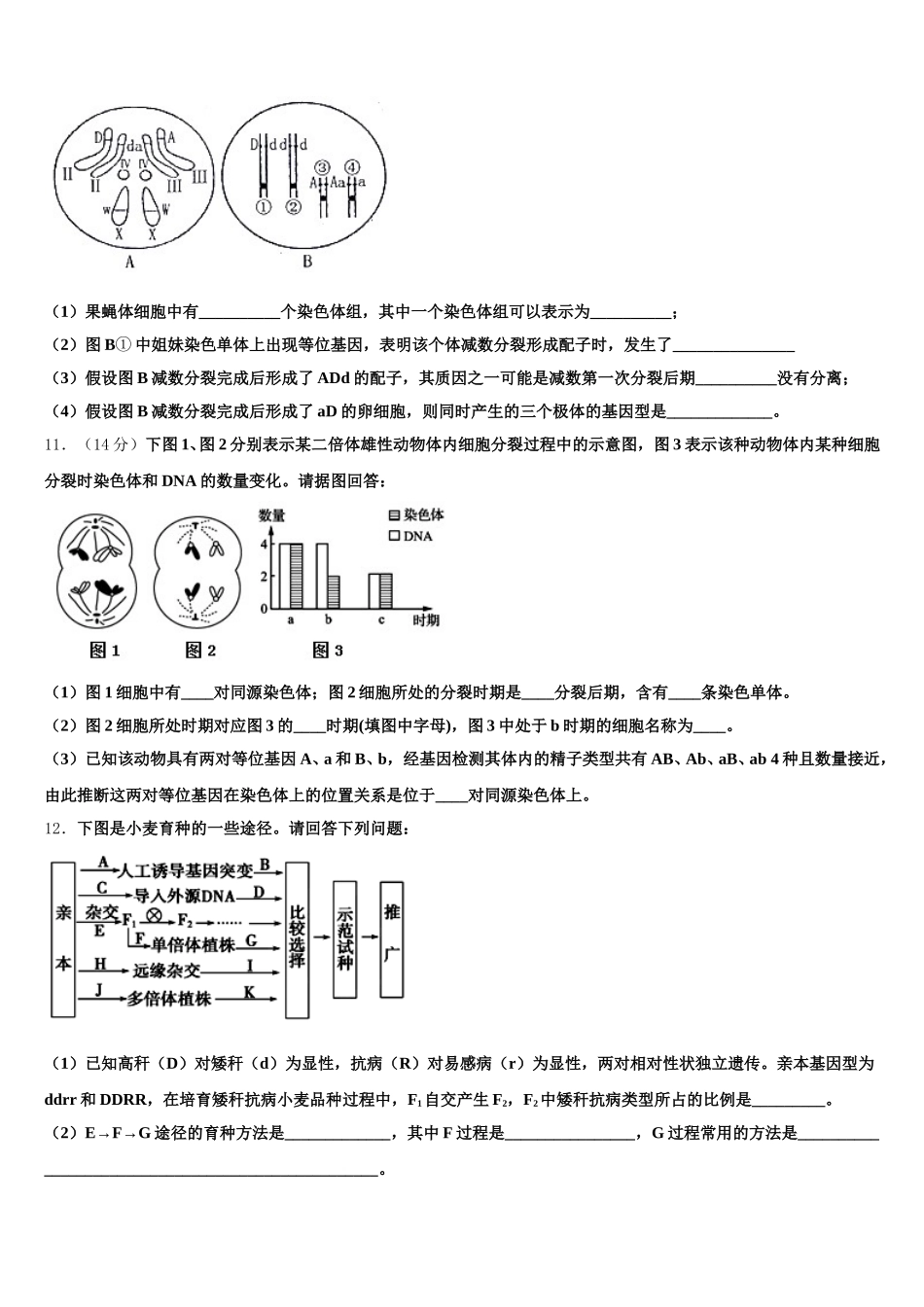 内蒙古乌拉特前旗第一中学2025年生物高一第二学期期末检测模拟试题含解析_第3页
