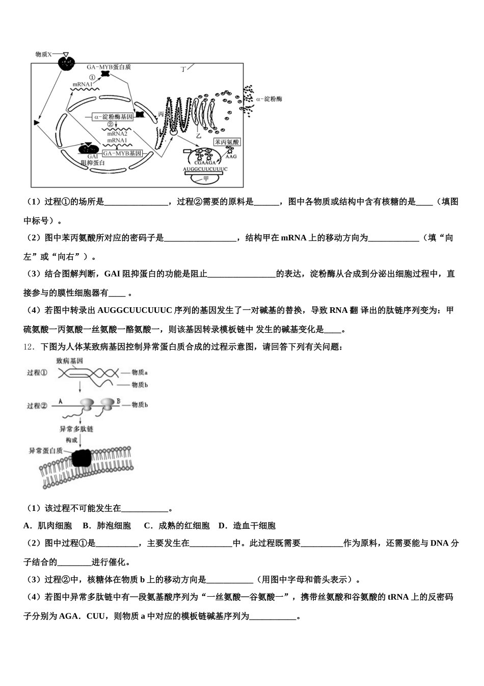 2024-2025学年内蒙古赤峰市翁牛特旗乌丹二中生物高一下期末统考模拟试题含解析_第3页