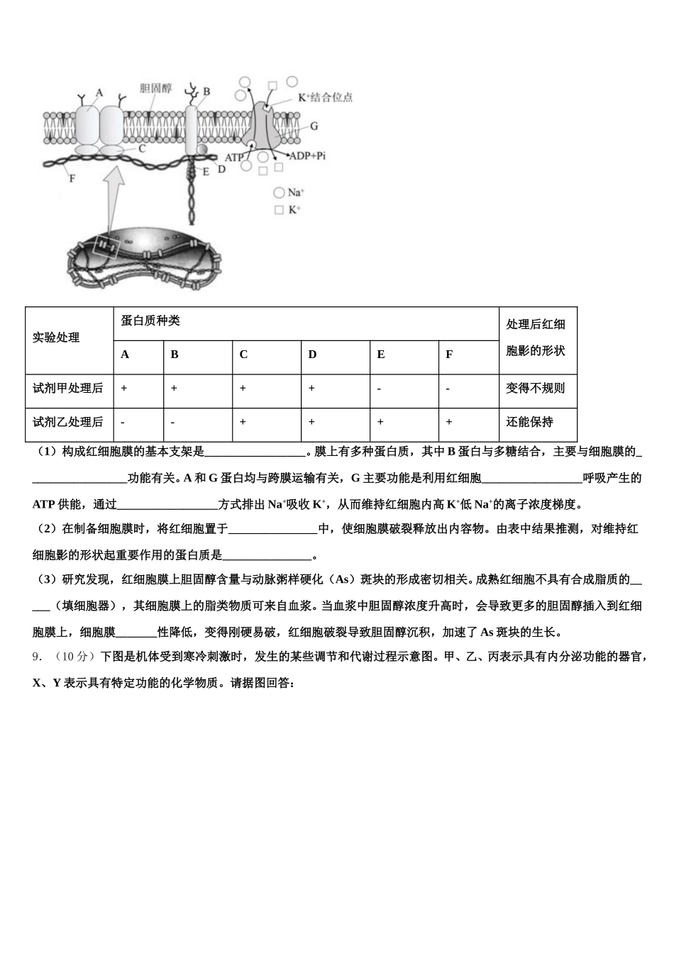 内蒙古阿左旗高级中学2025年高一下生物期末学业质量监测模拟试题含解析_第3页