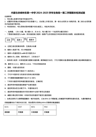 内蒙古赤峰林东第一中学2024-2025学年生物高一第二学期期末检测试题含解析
