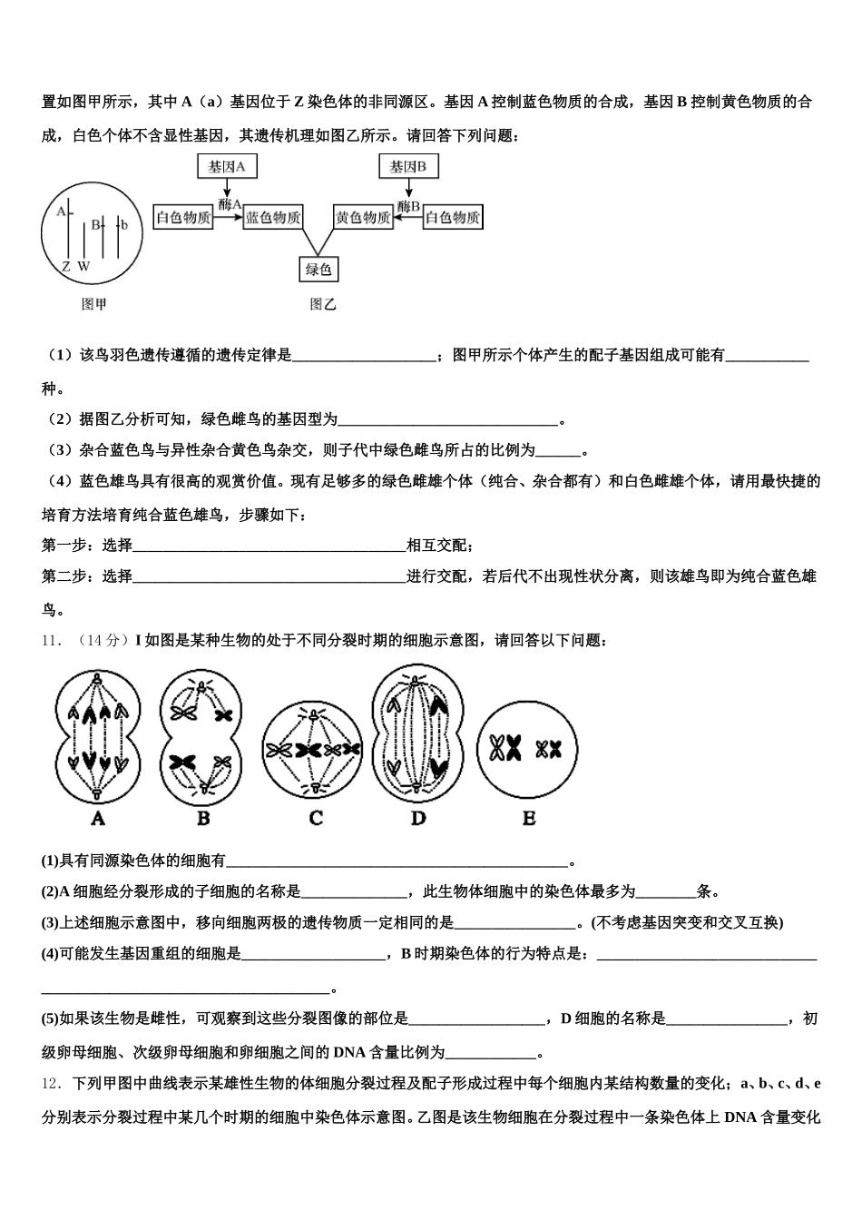 2024-2025学年内蒙古自治区杭锦后旗奋斗中学生物高一下期末综合测试试题含解析_第3页