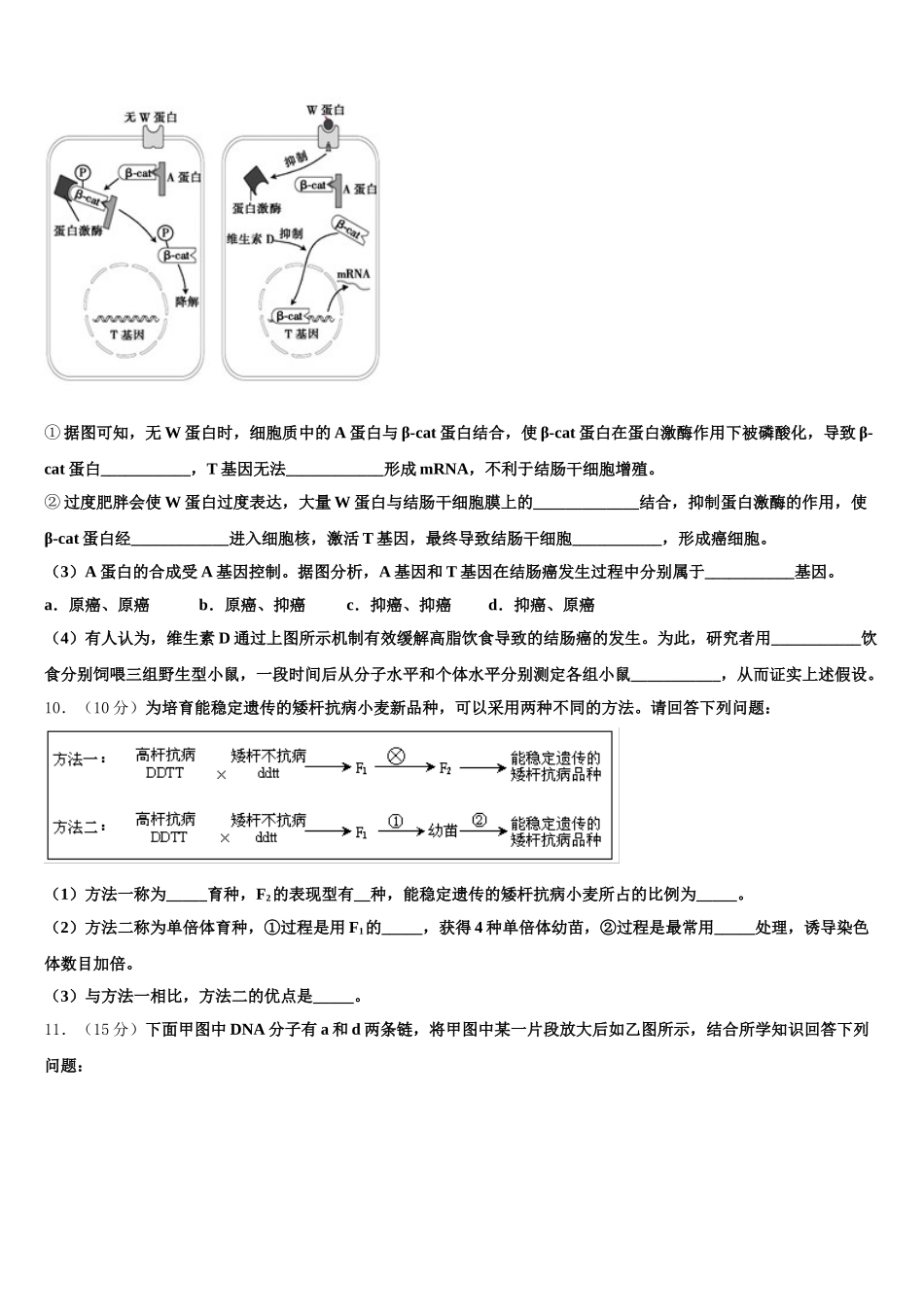 2024-2025学年内蒙古师大锦山实验中学生物高一第二学期期末联考试题含解析_第3页