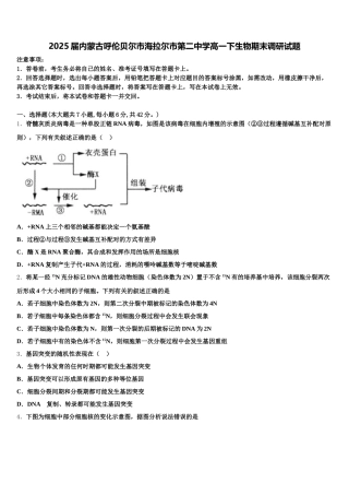 2025届内蒙古呼伦贝尔市海拉尔市第二中学高一下生物期末调研试题含解析