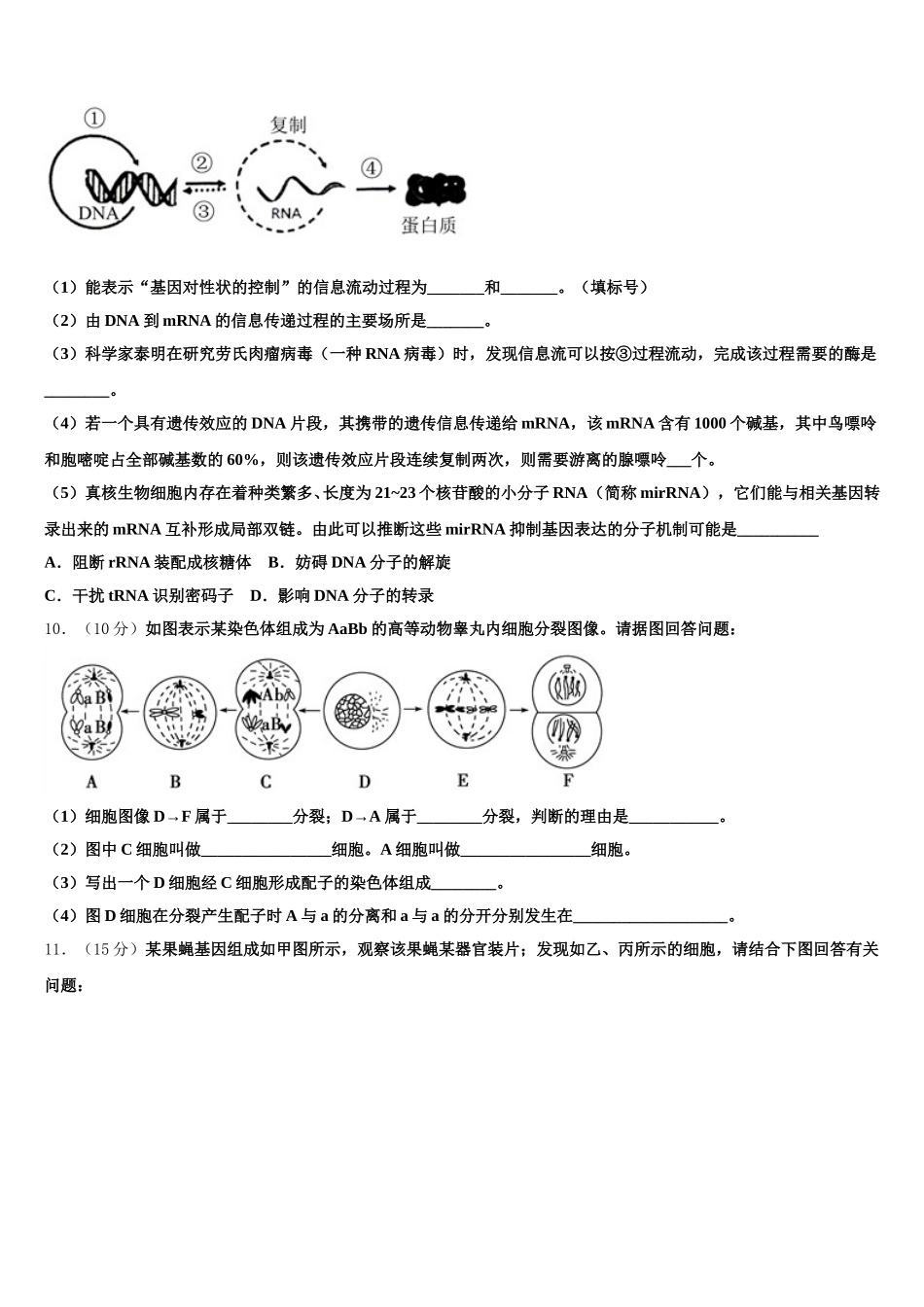 2024-2025学年内蒙古自治区包头市三十三中高一下生物期末统考模拟试题含解析_第3页
