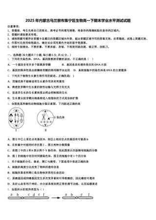2025年内蒙古乌兰察布集宁区生物高一下期末学业水平测试试题含解析