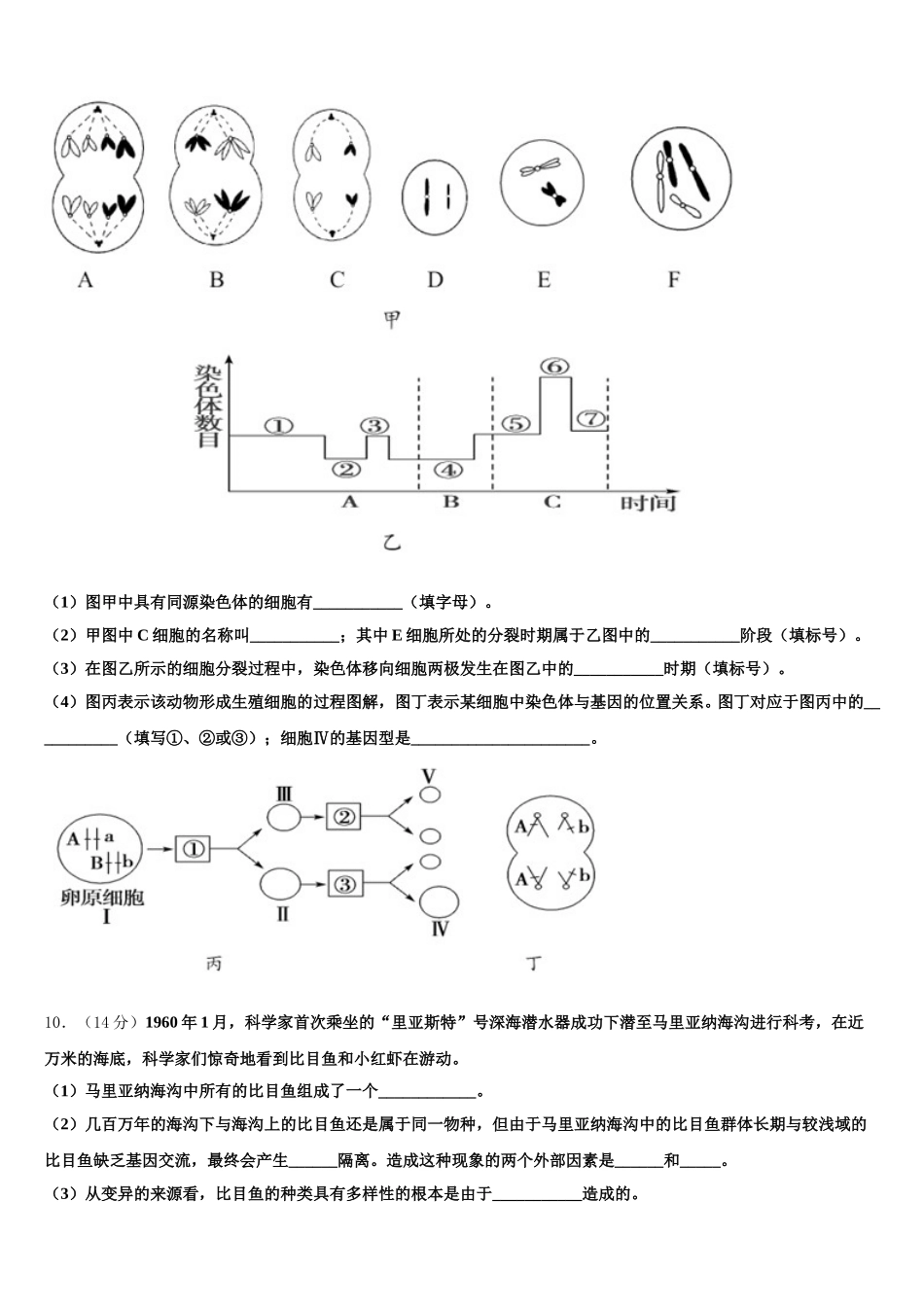 内蒙古赤峰市赤峰二中2024-2025学年高一生物第二学期期末达标检测试题含解析_第3页