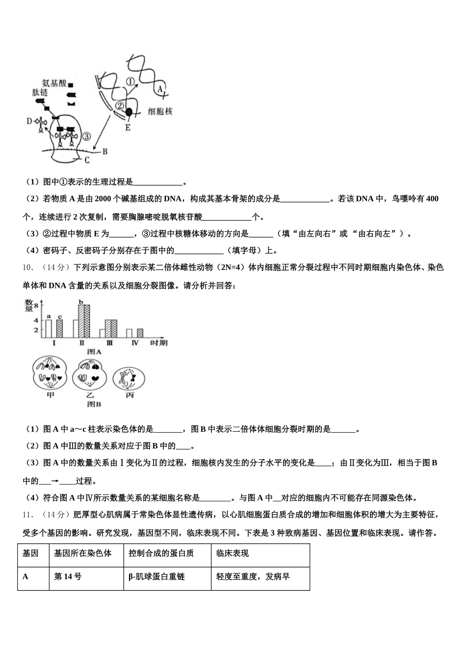 内蒙古包头市第九中学2025年高一生物第二学期期末监测试题含解析_第3页