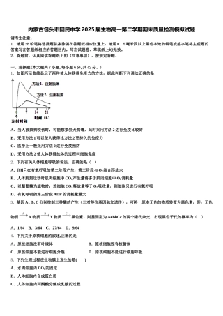 内蒙古包头市回民中学2025届生物高一第二学期期末质量检测模拟试题含解析