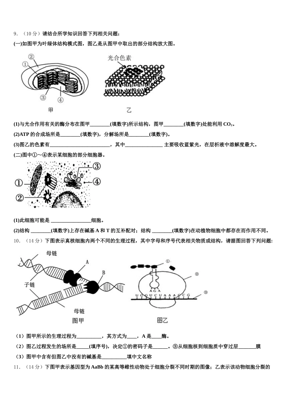 内蒙古赤峰市翁牛特旗乌丹二中2025年高一生物第二学期期末达标检测模拟试题含解析_第3页