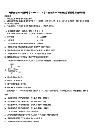 内蒙古包头市回民中学2024-2025学年生物高一下期末教学质量检测模拟试题含解析