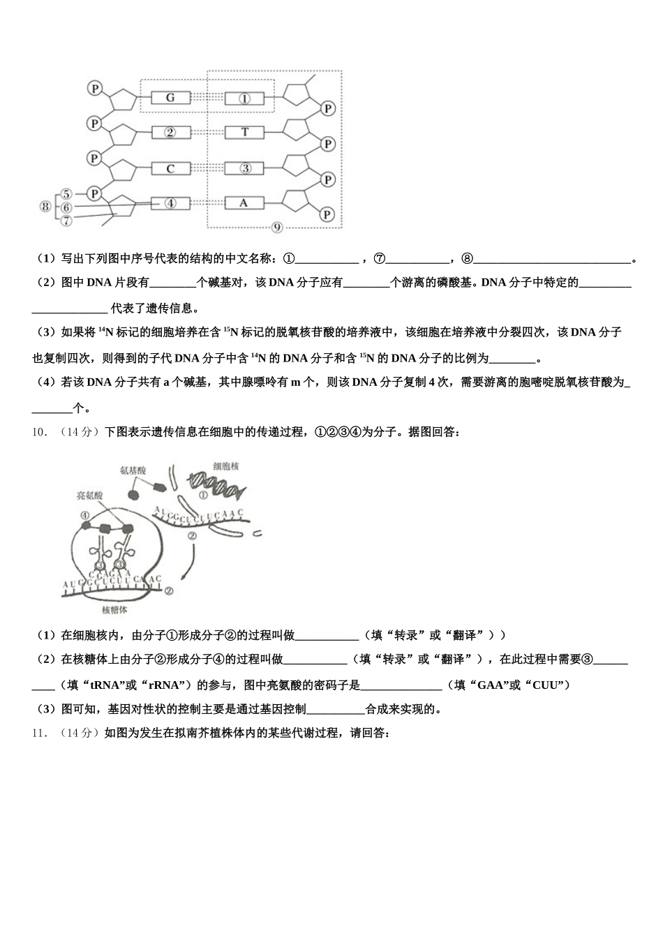 内蒙古自治区第一机械制造有限公司第一中学2024-2025学年高一下生物期末调研模拟试题含解析_第3页