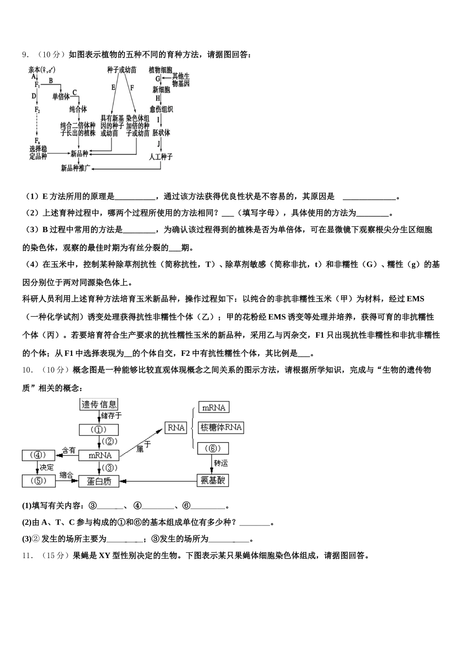 2024-2025学年内蒙古自治区阿拉善左旗高级中学生物高一下期末监测模拟试题含解析_第3页