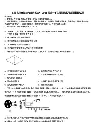 内蒙古巴彦淖尔市临河区三中2025届高一下生物期末教学质量检测试题含解析