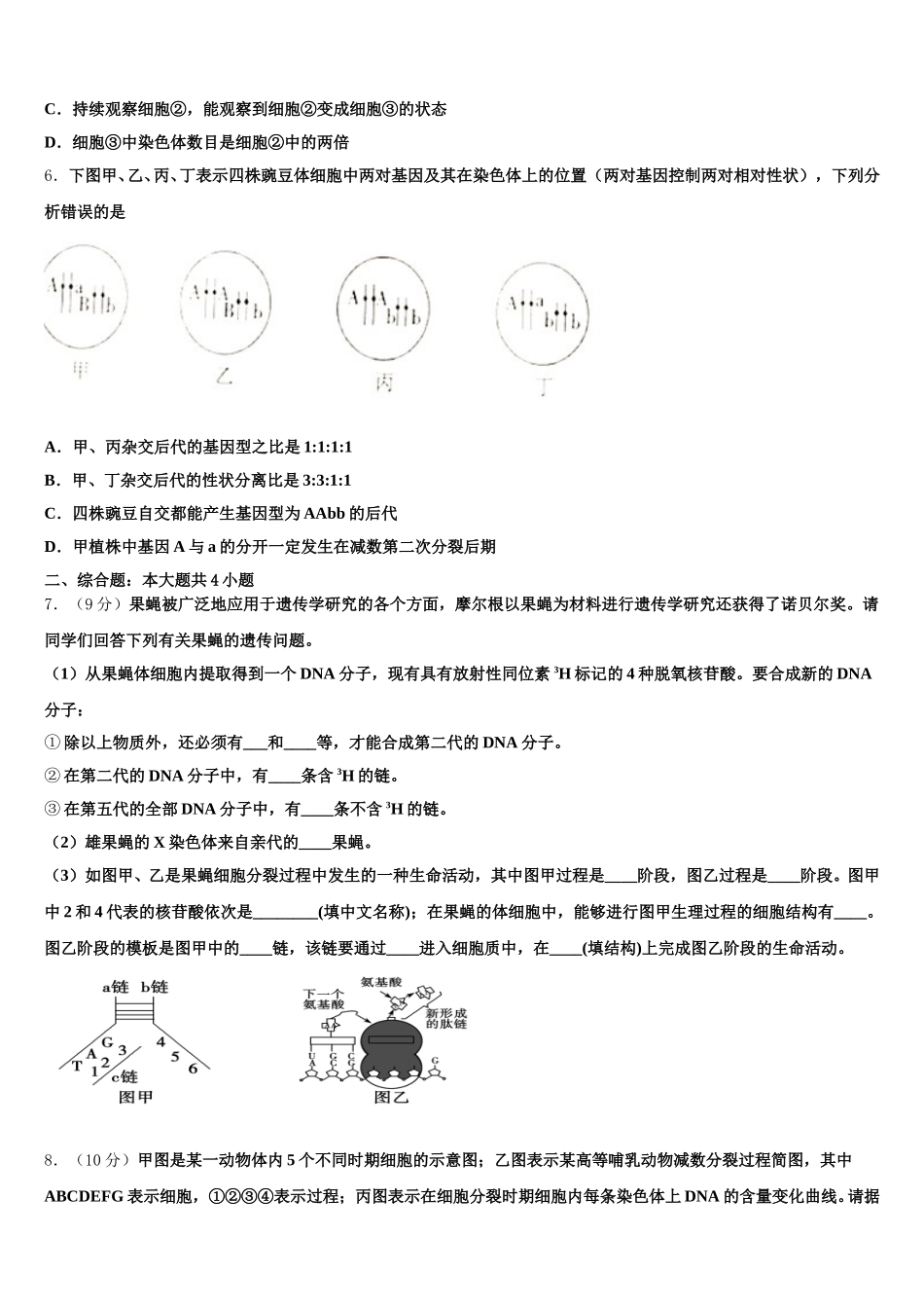 2025年内蒙古呼和浩特回民中学生物高一第二学期期末检测模拟试题含解析_第2页