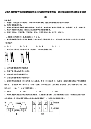 2025届内蒙古锡林郭勒盟锡林浩特市第六中学生物高一第二学期期末学业质量监测试题含解析