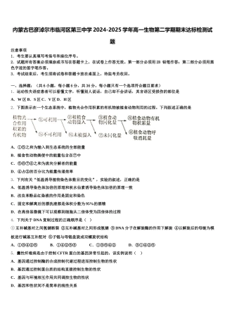 内蒙古巴彦淖尔市临河区第三中学2024-2025学年高一生物第二学期期末达标检测试题含解析