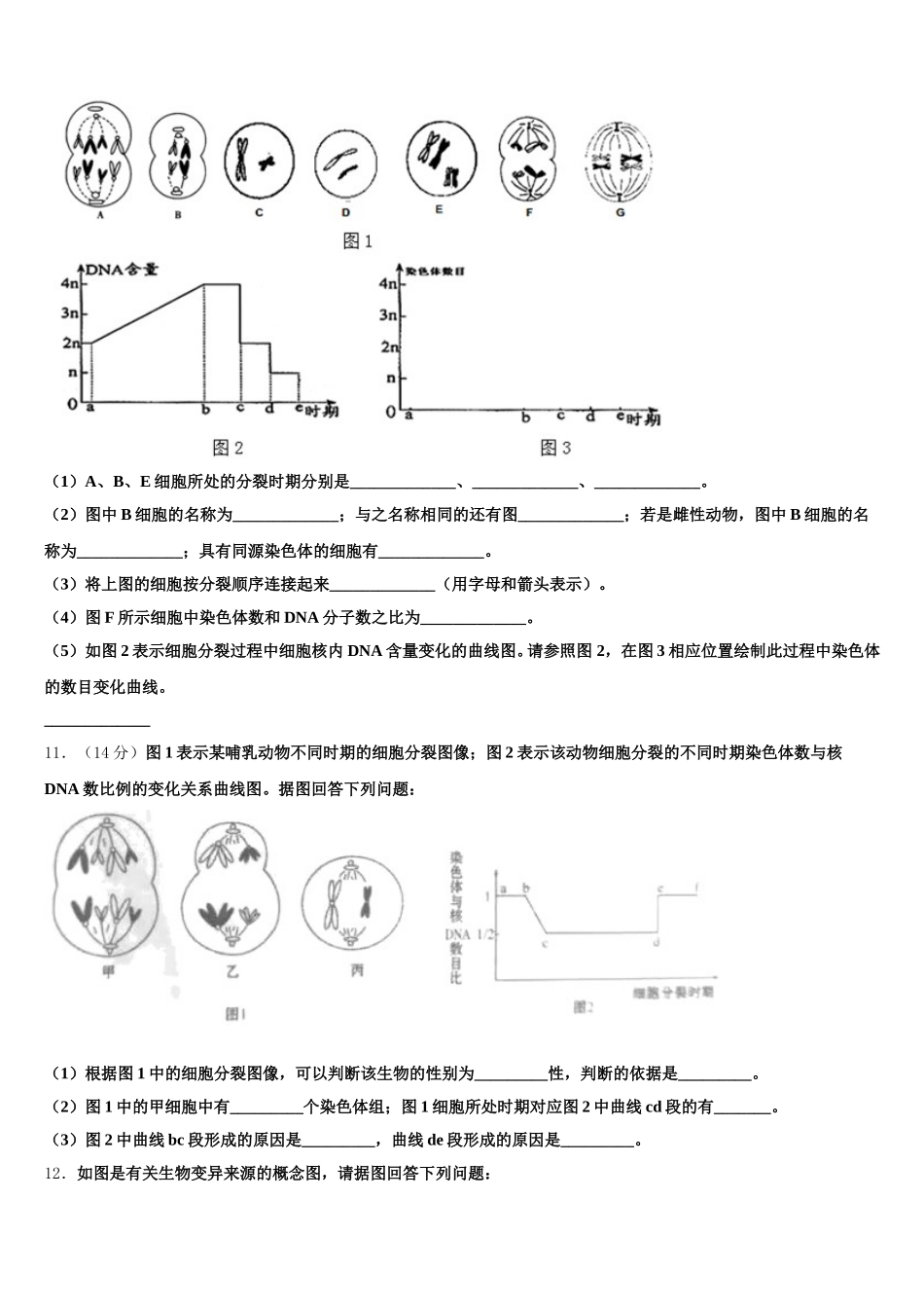 阿拉善市重点中学2024-2025学年生物高一下期末质量检测模拟试题含解析_第3页