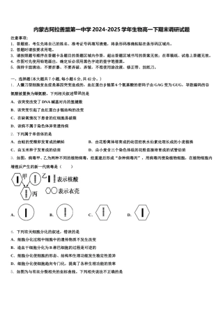内蒙古阿拉善盟第一中学2024-2025学年生物高一下期末调研试题含解析
