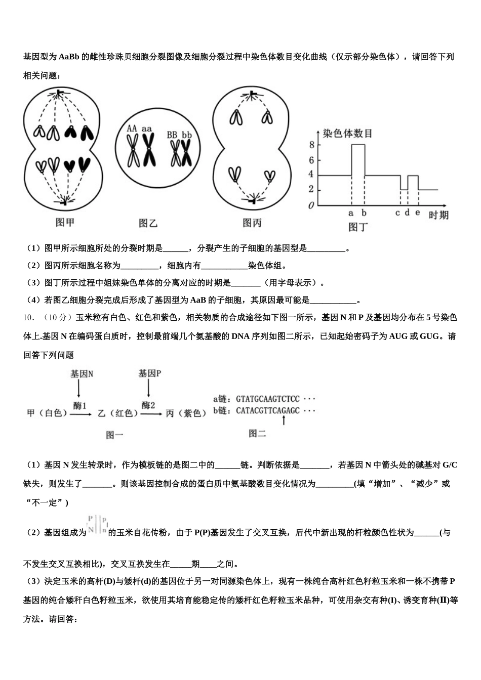 2025届内蒙古包头市第六中学高一生物第二学期期末复习检测模拟试题含解析_第3页