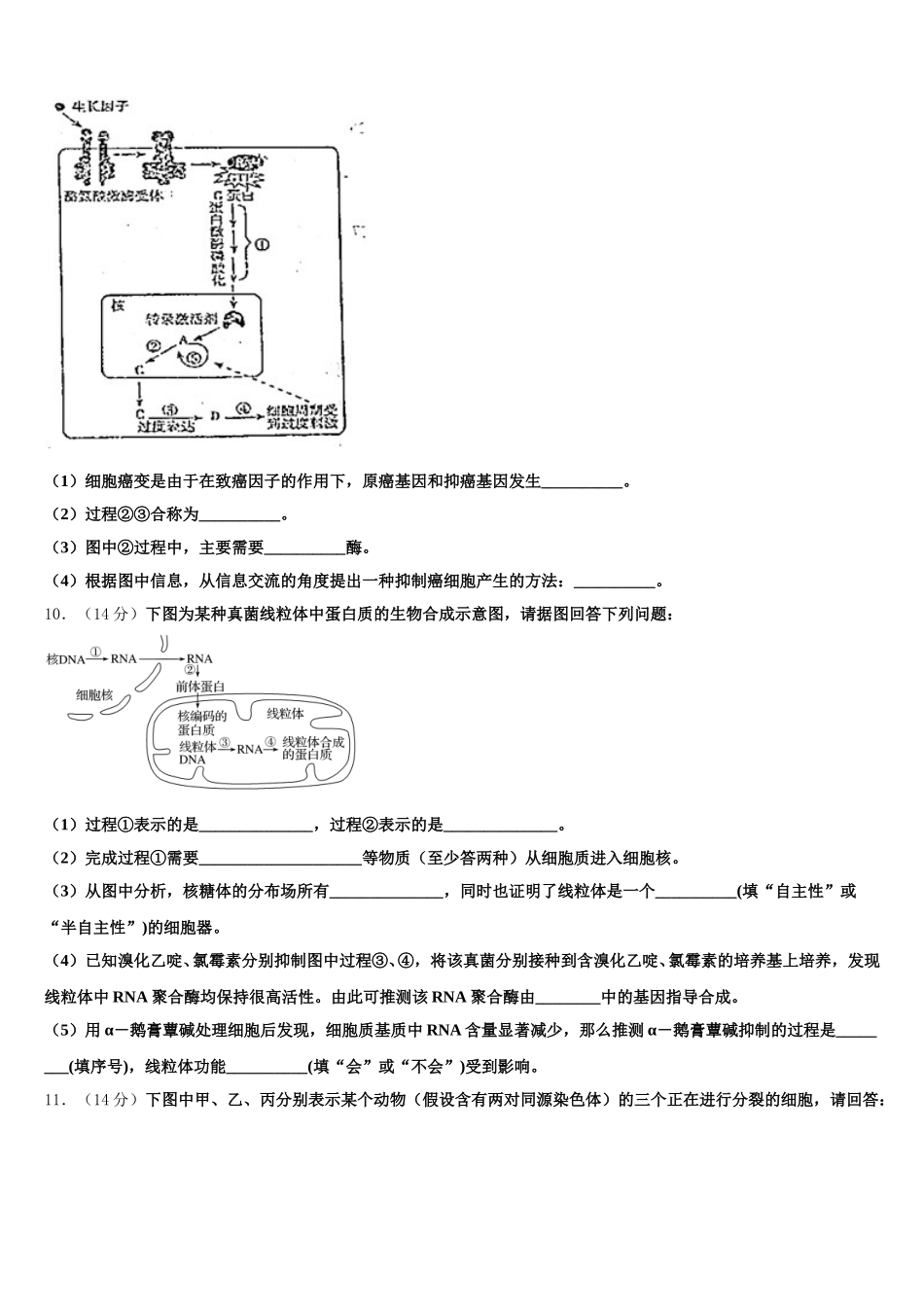 内蒙集宁二中2025届高一下生物期末监测模拟试题含解析_第3页