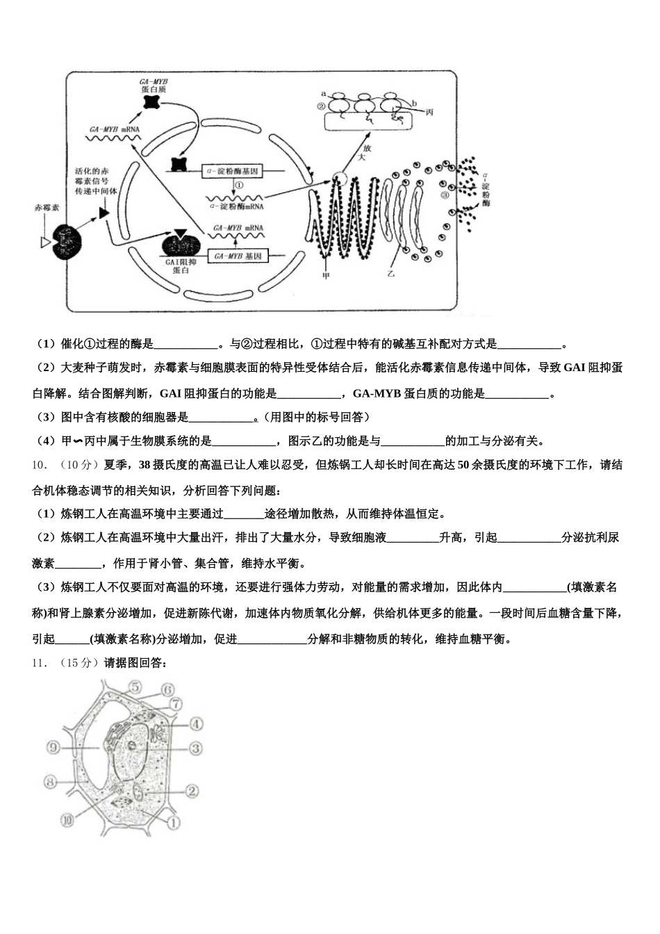 内蒙古自治区五原县第一中学2025年高一生物第二学期期末综合测试模拟试题含解析_第3页