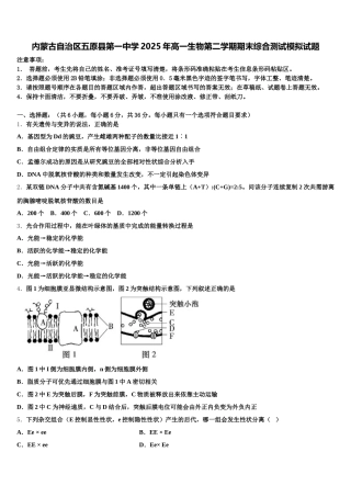 内蒙古自治区五原县第一中学2025年高一生物第二学期期末综合测试模拟试题含解析