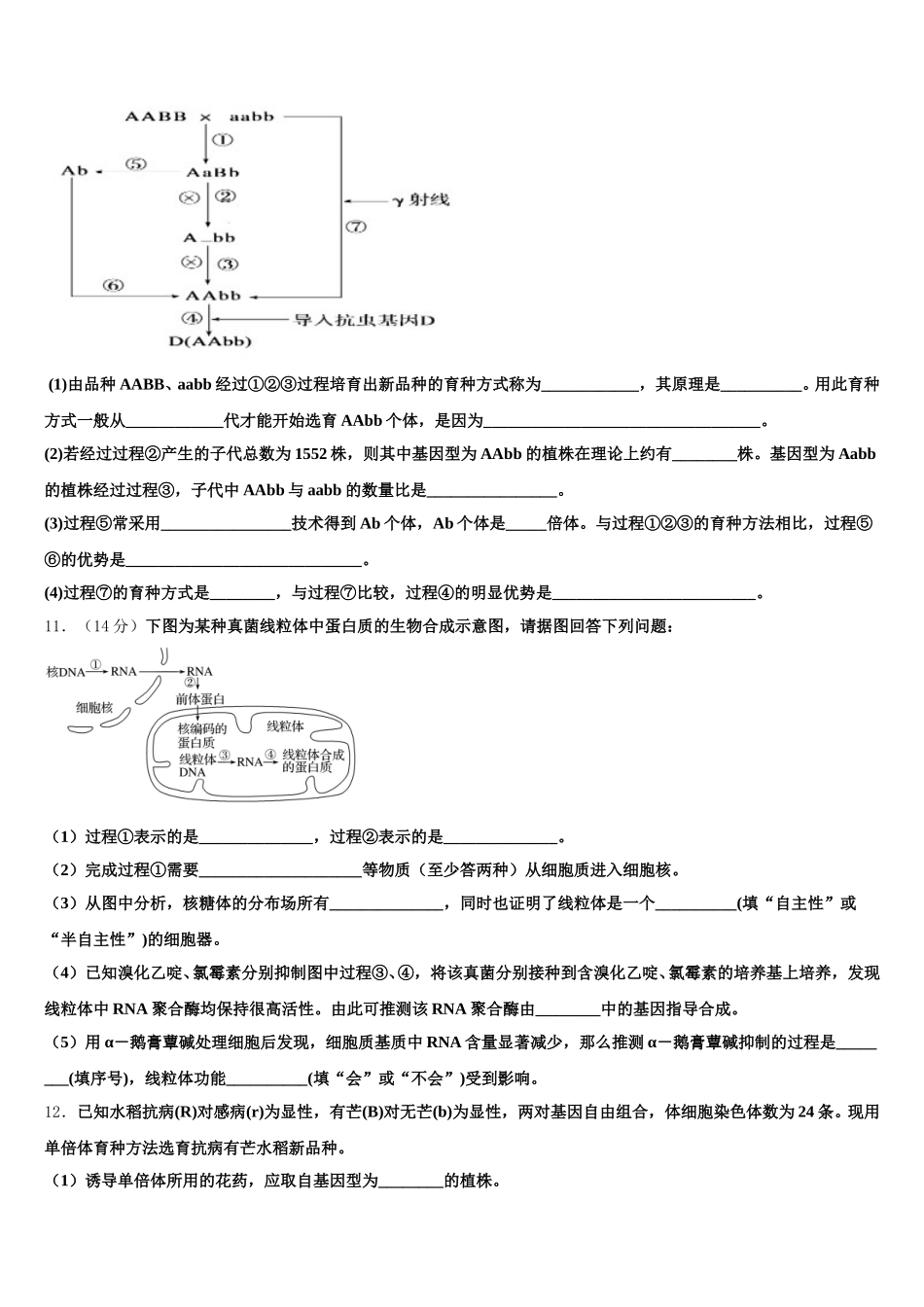 内蒙古根河市重点中学2024-2025学年高一下生物期末达标测试试题含解析_第3页