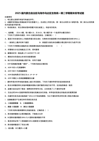 2025届内蒙古自治区乌海市乌达区生物高一第二学期期末统考试题含解析