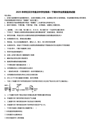 2025年呼伦贝尔市重点中学生物高一下期末学业质量监测试题含解析