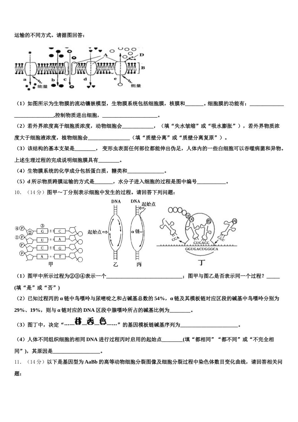 内蒙古赤峰市巴林右旗大板三中2024-2025学年高一生物第二学期期末学业水平测试模拟试题含解析_第3页