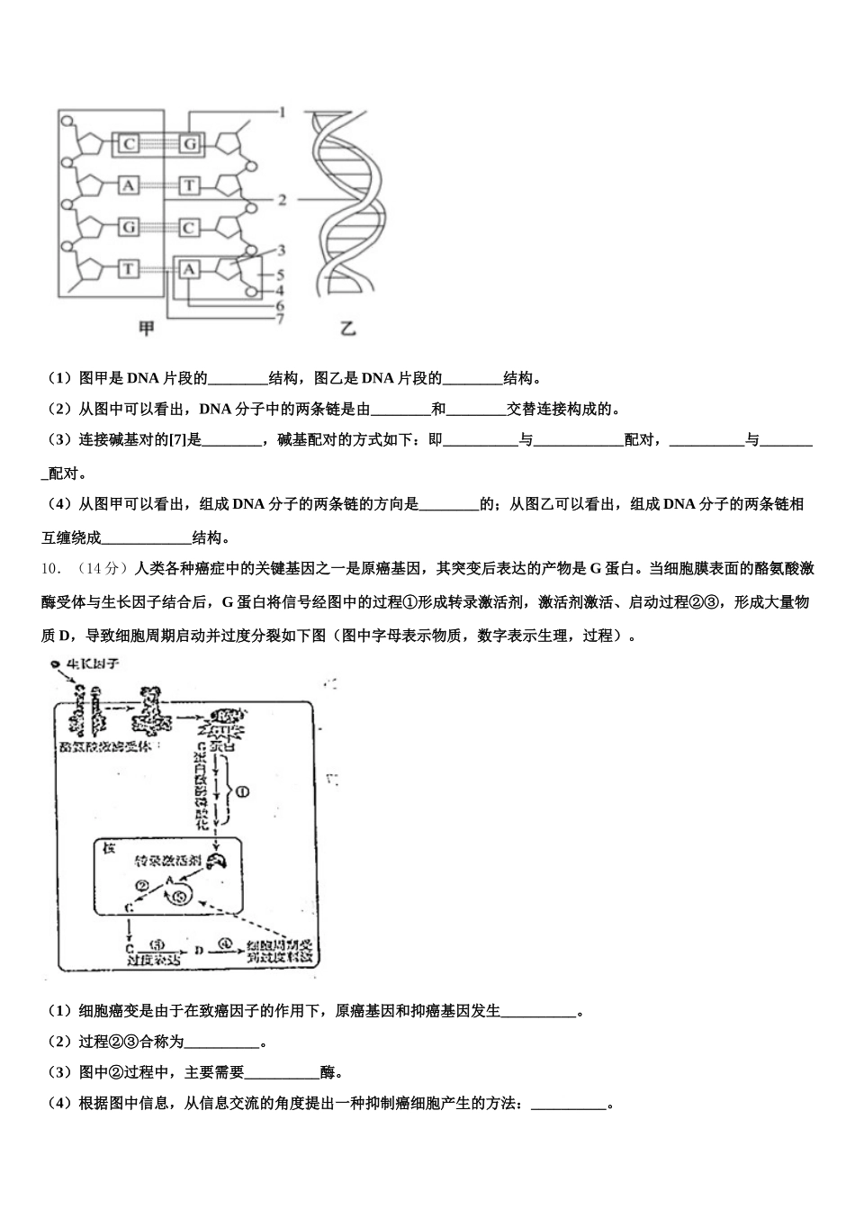 内蒙古锡林浩特市第六中学2025届高一下生物期末考试模拟试题含解析_第3页