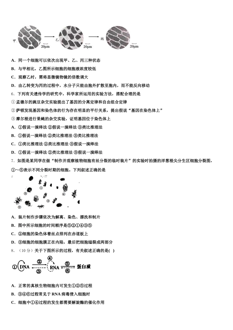 2025届内蒙古呼伦贝尔市高一生物第二学期期末质量检测模拟试题含解析_第2页