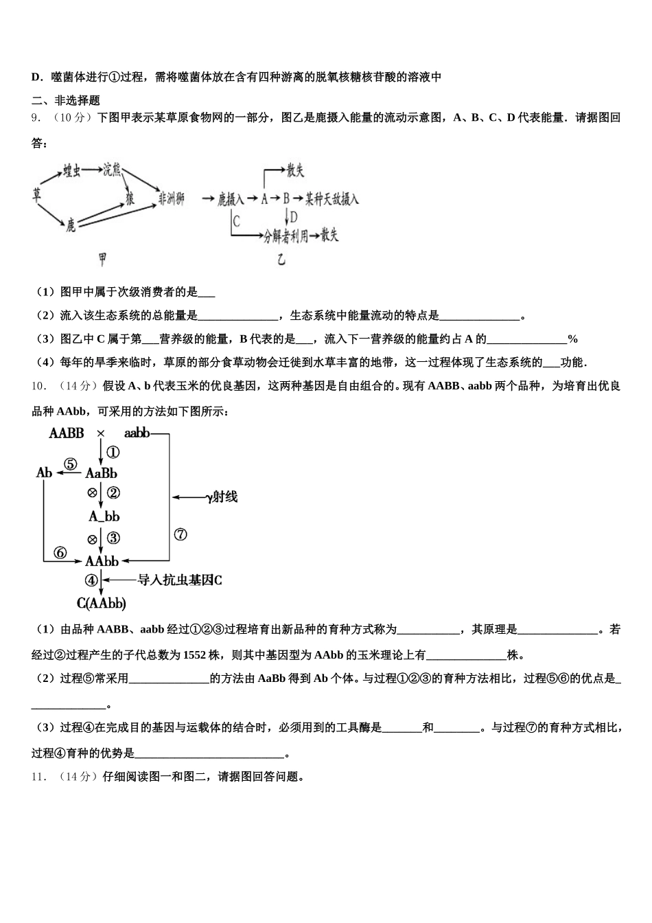 2025届内蒙古呼伦贝尔市高一生物第二学期期末质量检测模拟试题含解析_第3页
