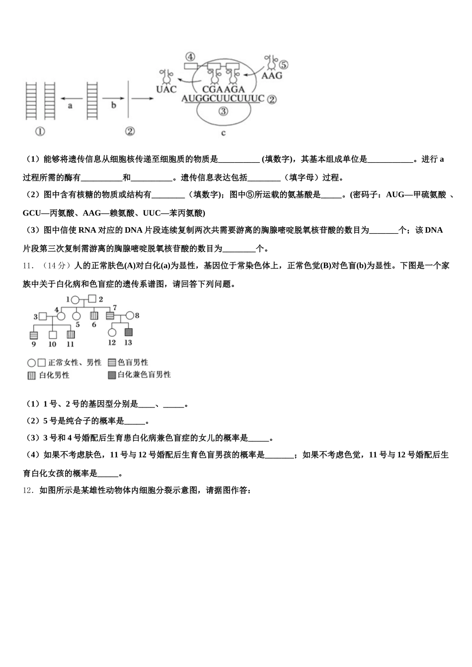 内蒙古自治区乌兰察布集宁区集宁第一中学2025年高一生物第二学期期末监测试题含解析_第3页