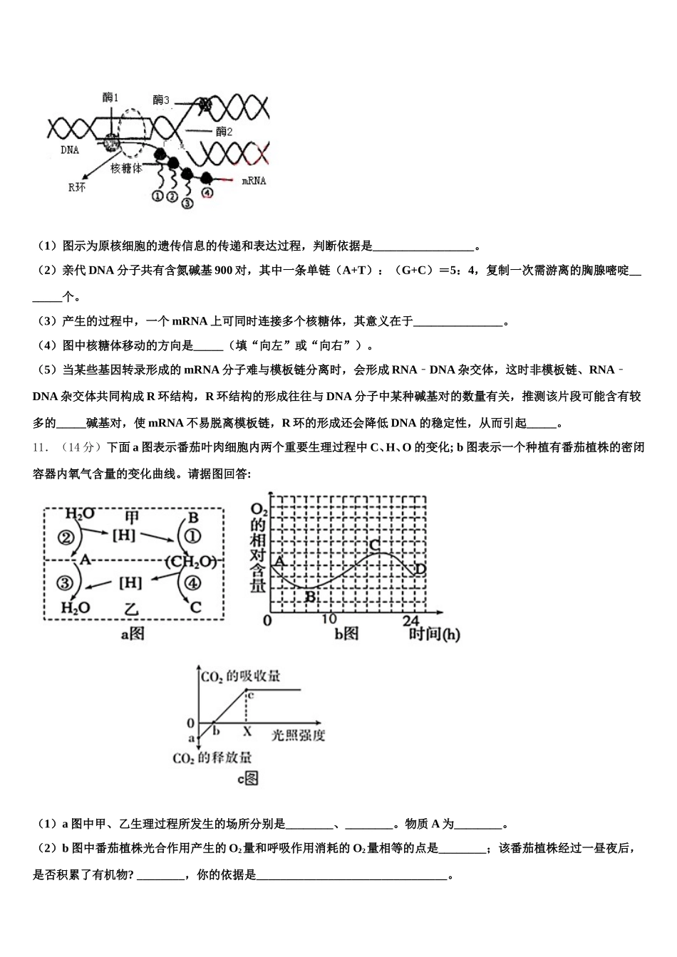 2024-2025学年内蒙古一机集团第一中学高一下生物期末质量跟踪监视模拟试题含解析_第3页