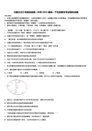 内蒙古太仆寺旗宝昌第一中学2025届高一下生物期末考试模拟试题含解析