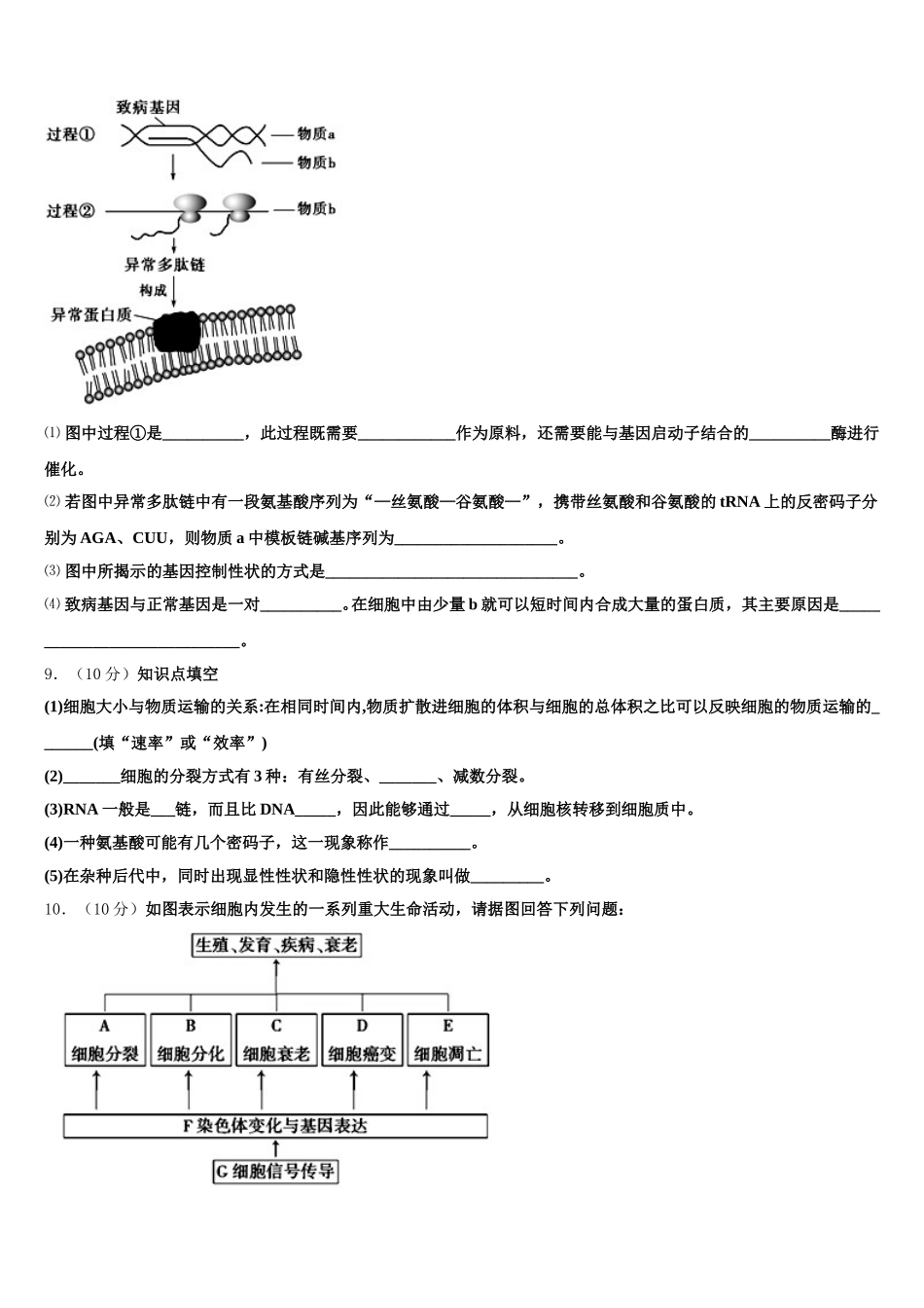 2025年内蒙古自治区乌兰察布集宁区集宁第一中学生物高一下期末调研模拟试题含解析_第3页