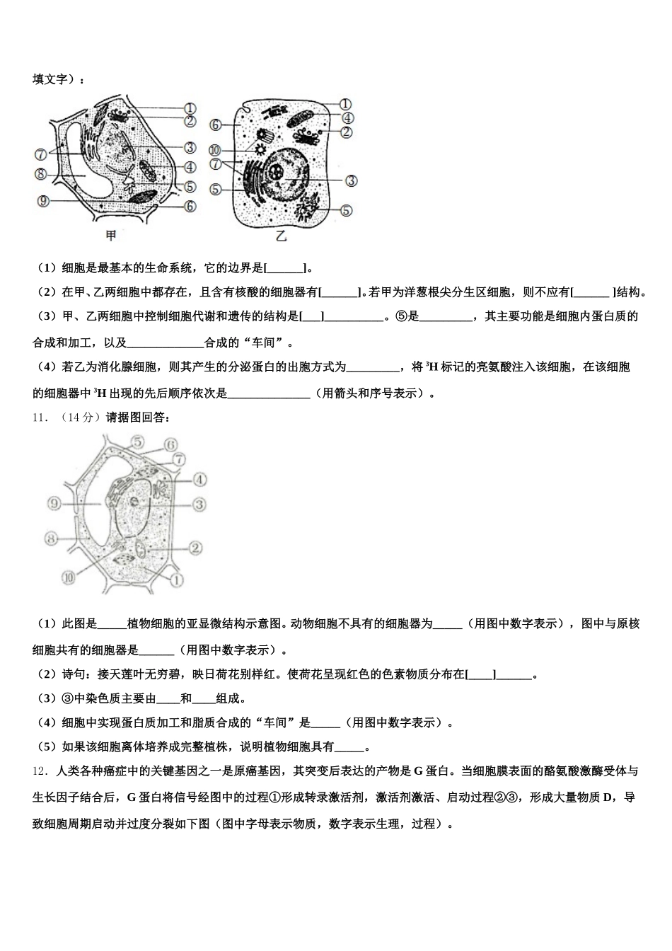 2025年内蒙古北京八中乌兰察布分校生物高一第二学期期末预测试题含解析_第3页