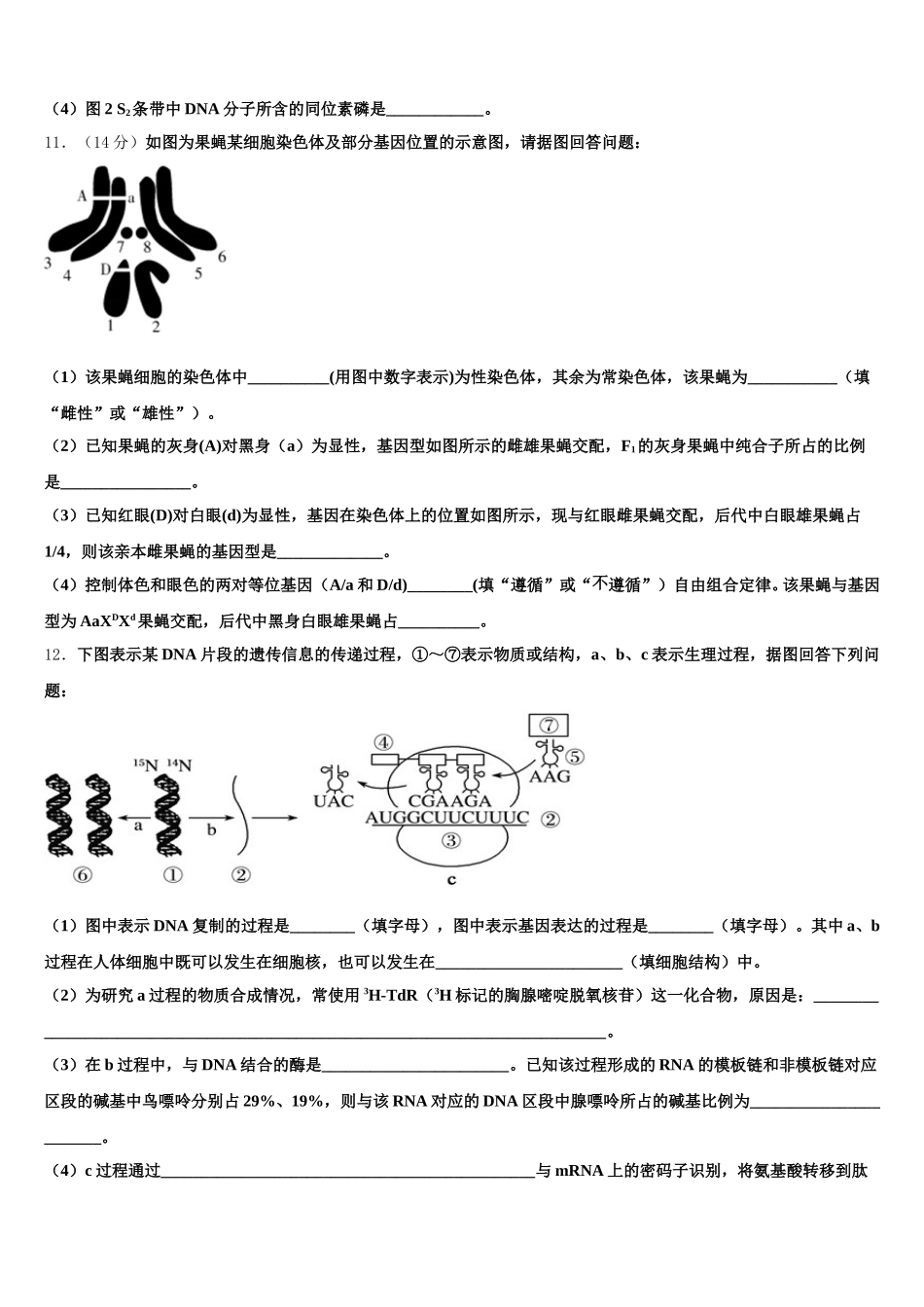 2025年内蒙古通辽市科左后旗甘旗卡二中生物高一下期末学业质量监测模拟试题含解析_第3页
