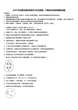 2025年内蒙古锡林浩特市六中生物高一下期末达标检测模拟试题含解析