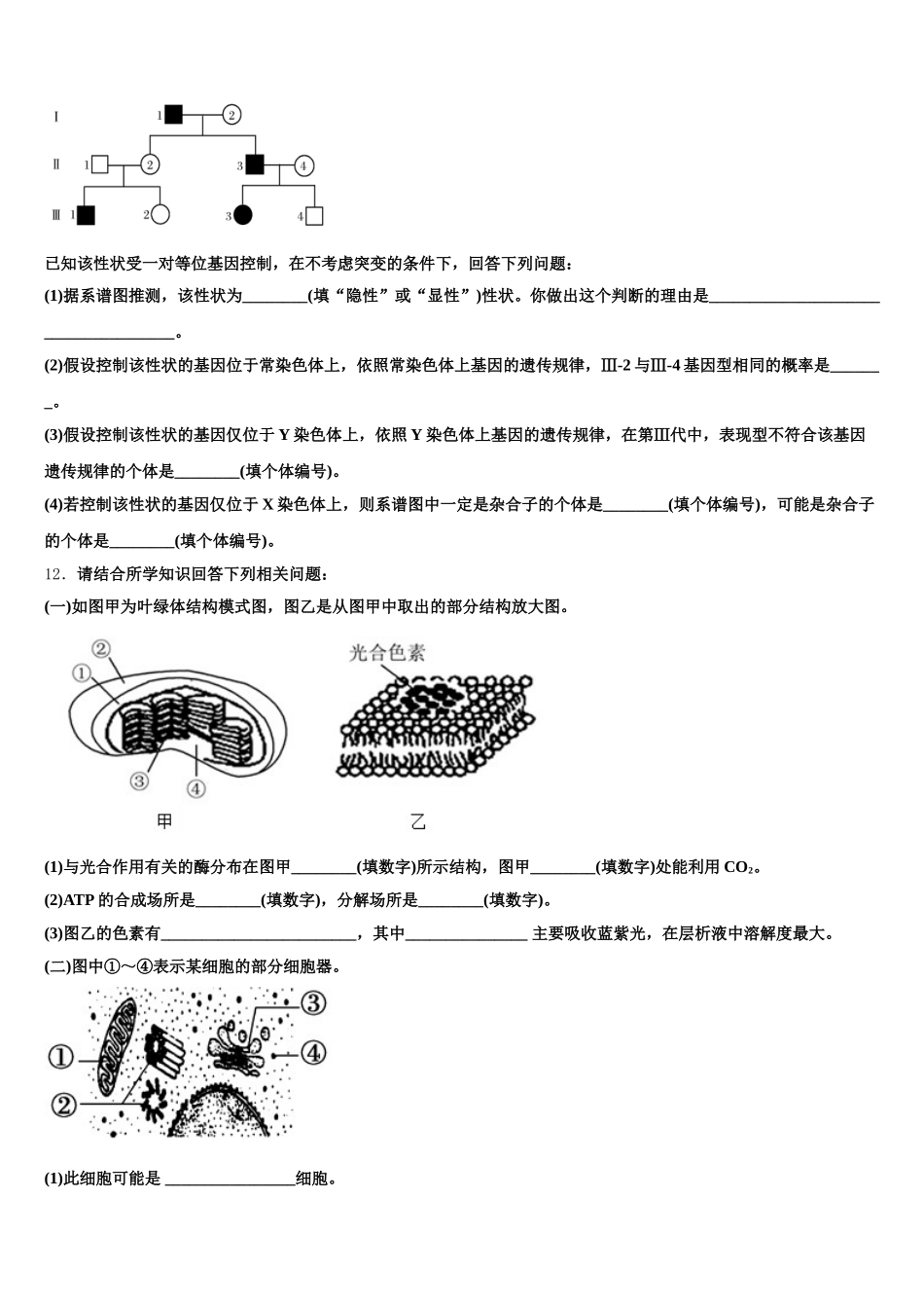 2024-2025学年内蒙古自治区五原县第一中学高一下生物期末检测模拟试题含解析_第3页
