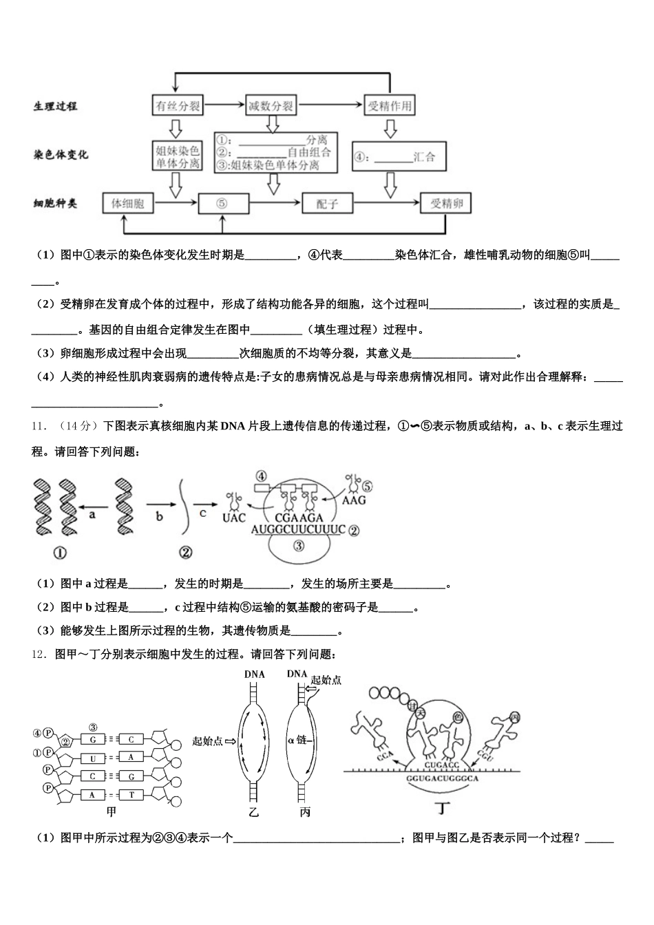 2025届内蒙古北方重工第三中学高一下生物期末统考试题含解析_第3页