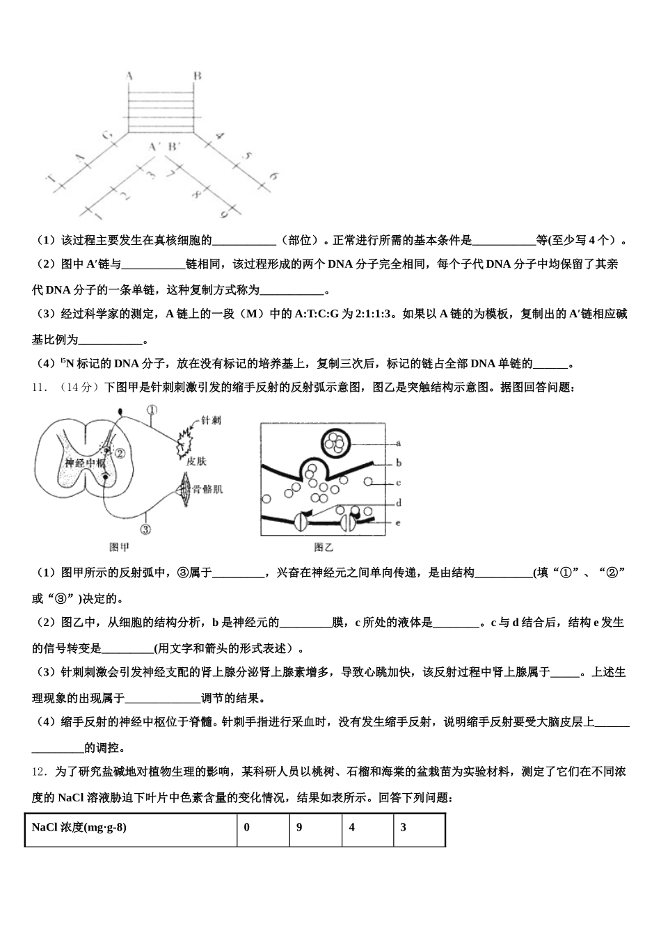 内蒙古乌兰察布市北京八中分校2025届高一下生物期末学业水平测试模拟试题含解析_第3页
